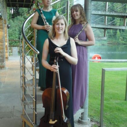 Fiesta Classical Trio